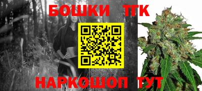 стафф Заволжье