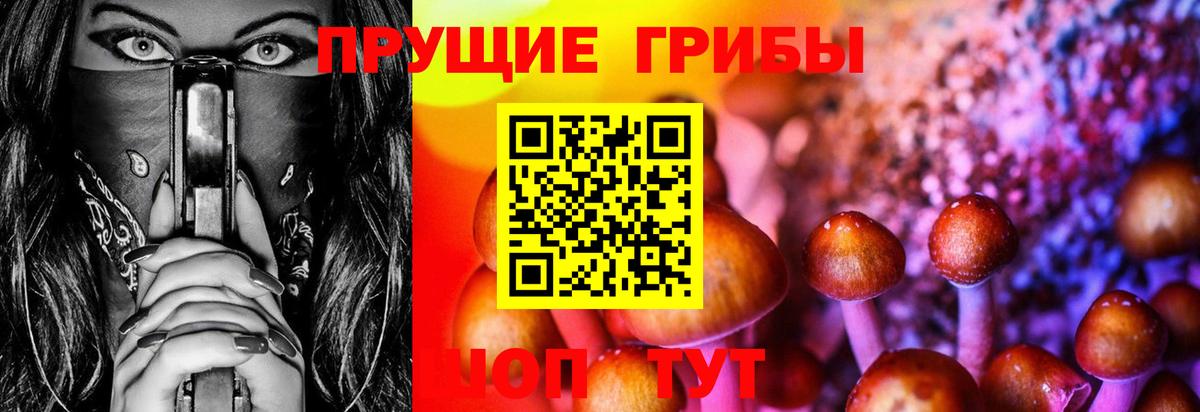 Тавда  Псилоцибиновые грибы MAGIC MUSHROOMS  Галлюциногенные грибы Psilocybe  Вход с VPN 